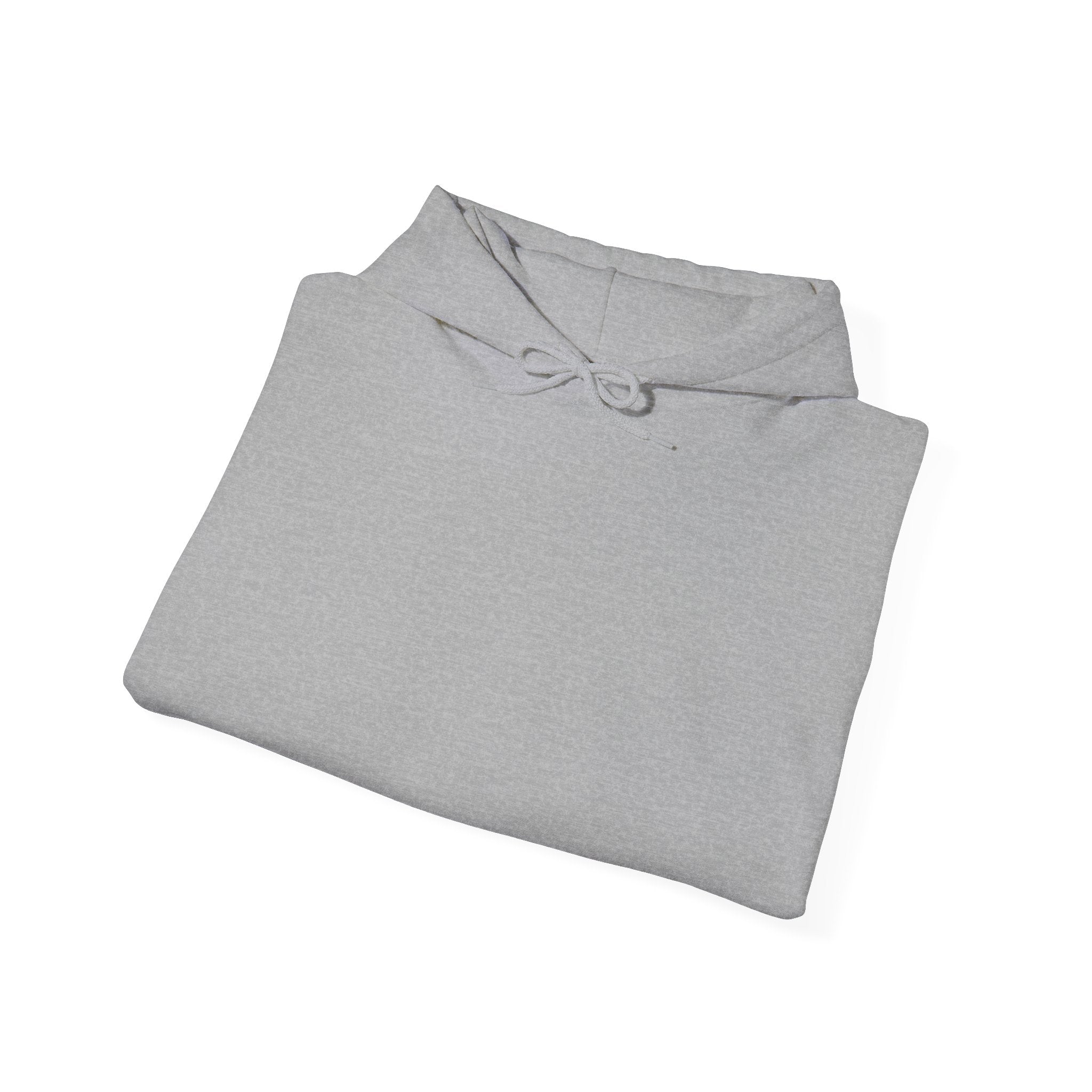 Minimal Logo Hoodie- Silly Pig