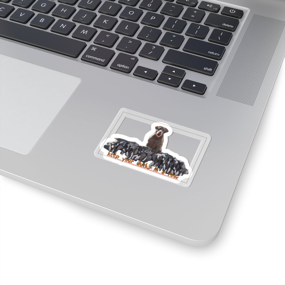Kiss-Cut Vinyl Sticker- "keep yoour ducks in a row"