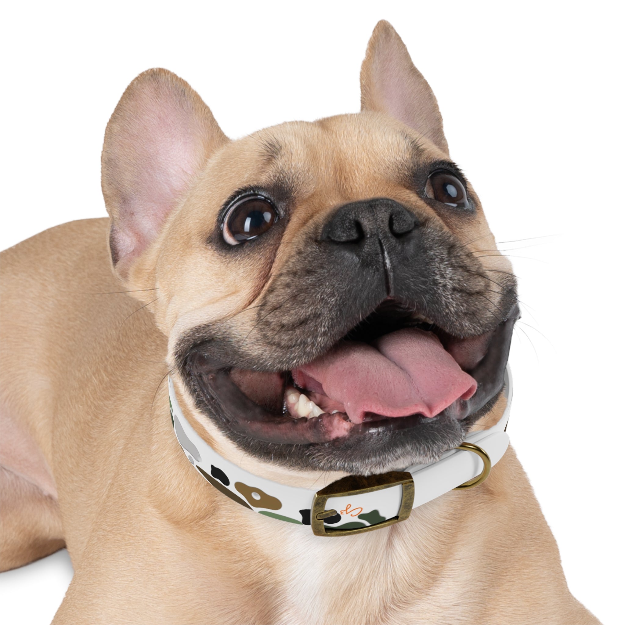Camo Spots Dog Collar — Durable White Camouflage Pattern for Everyday Wear