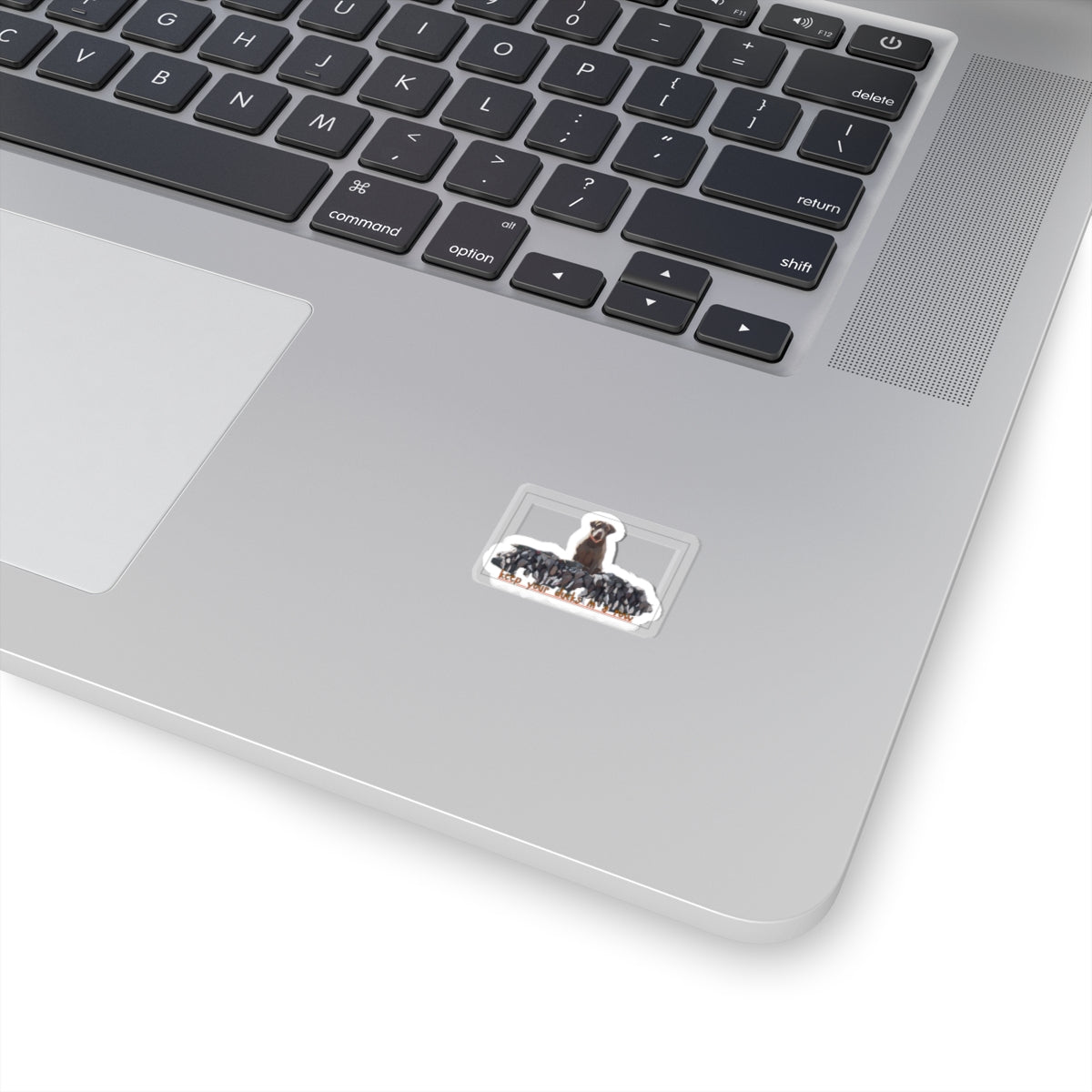 Kiss-Cut Vinyl Sticker- "keep yoour ducks in a row"