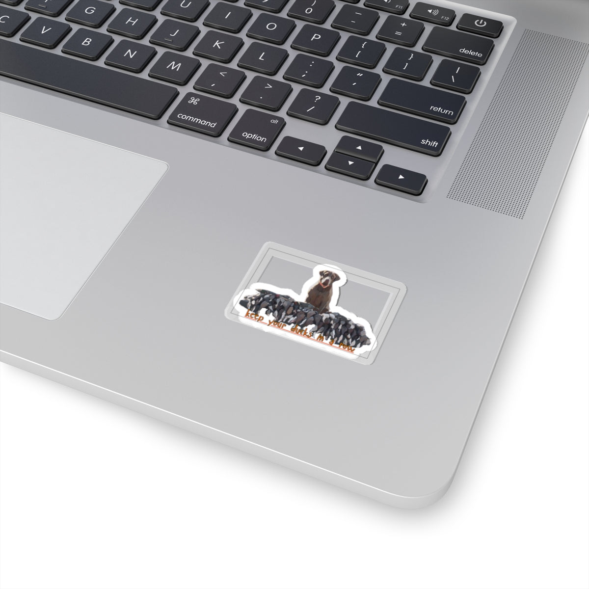 Kiss-Cut Vinyl Sticker- "keep yoour ducks in a row"