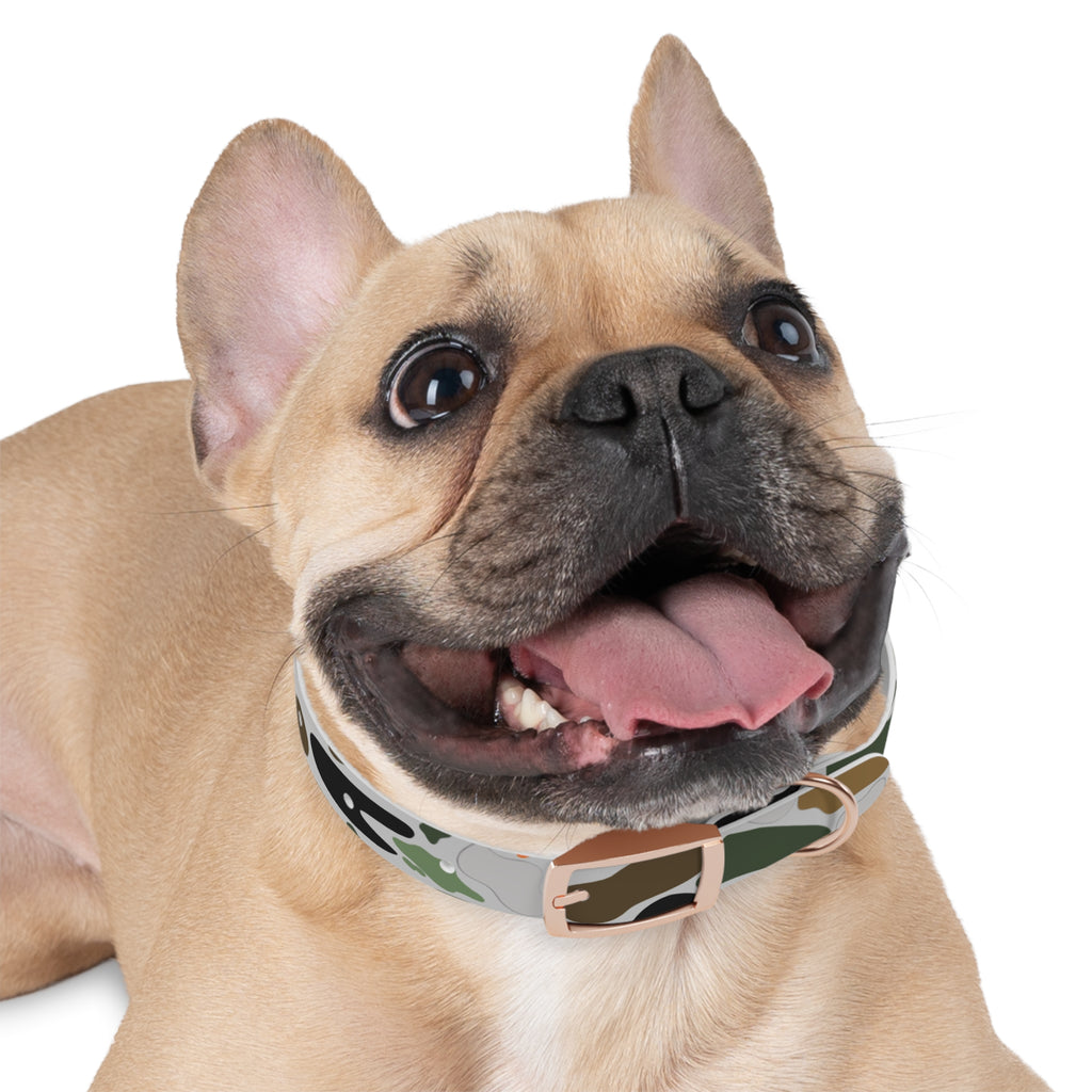 Camouflage Pattern Dog Collar —  Camo Pet Collar for Small & Large Dogs