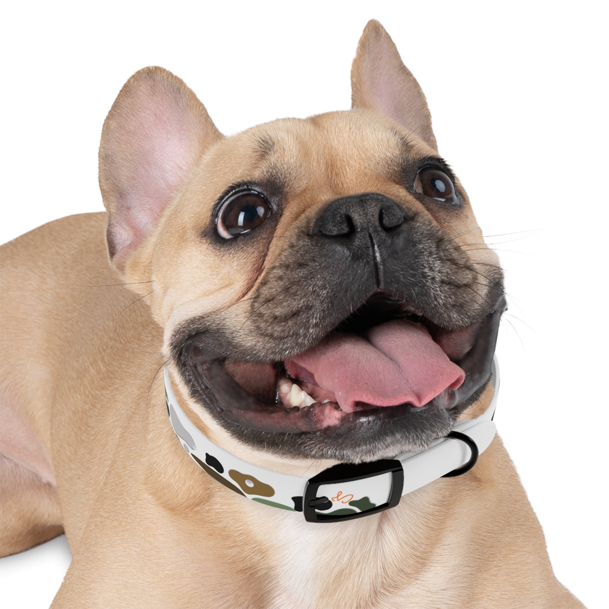Camo Spots Dog Collar — Durable White Camouflage Pattern for Everyday Wear
