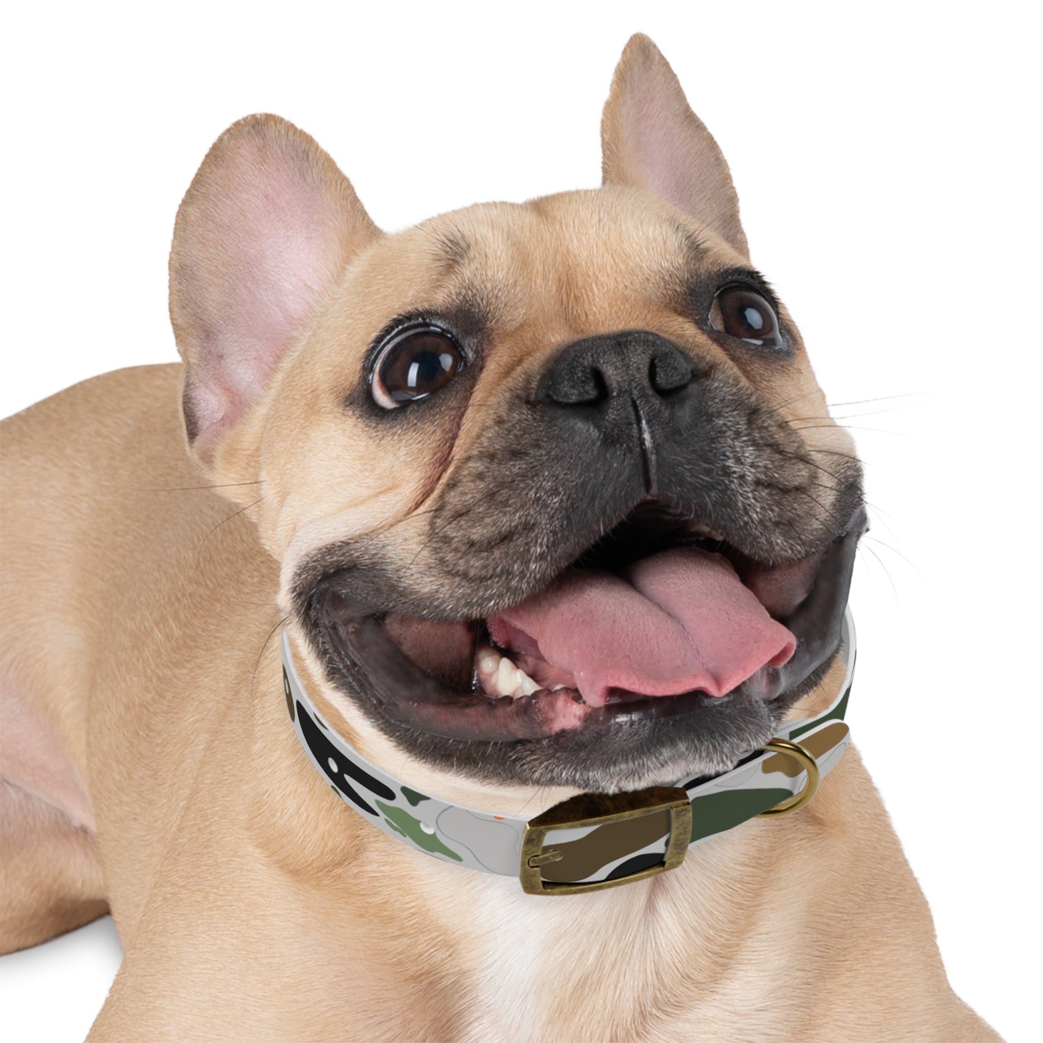 Camouflage Pattern Dog Collar —  Camo Pet Collar for Small & Large Dogs